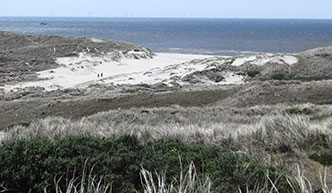 De Schoorlse Duinen met de zee in de horizon